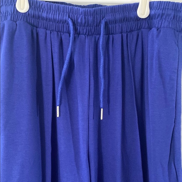 Vibrant Blue Wide-Leg Pants Size Large - Picture 2 of 6